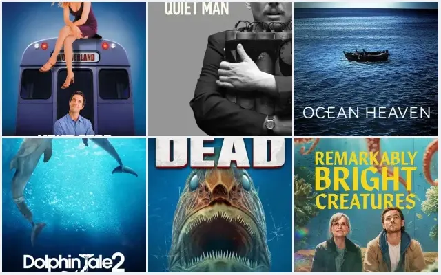 6 Best Aquarium-Set Movies