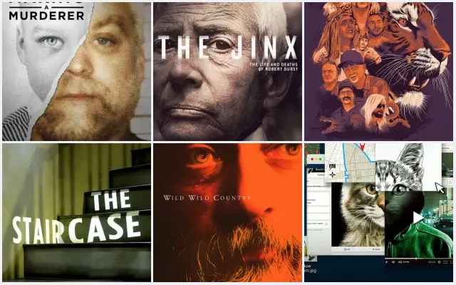 12 Best True Crime Docuseries