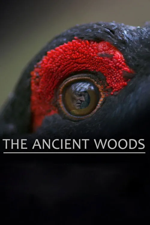 The Ancient Woods (2017)